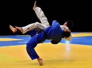 judo 300x220 - judo